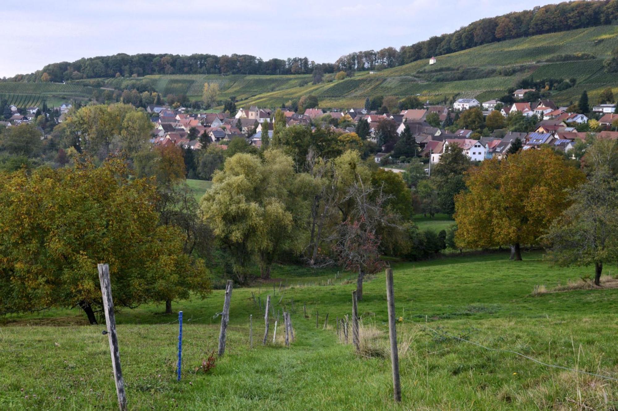 Am Paradies Bed & Breakfast Mullheim  Exterior photo