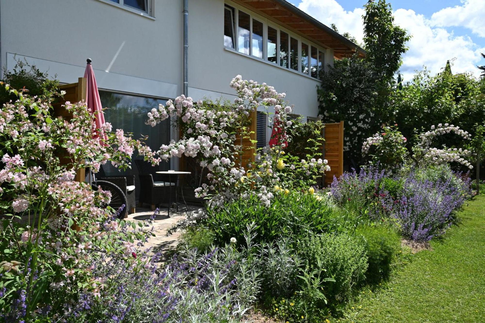 Am Paradies Bed & Breakfast Mullheim  Exterior photo