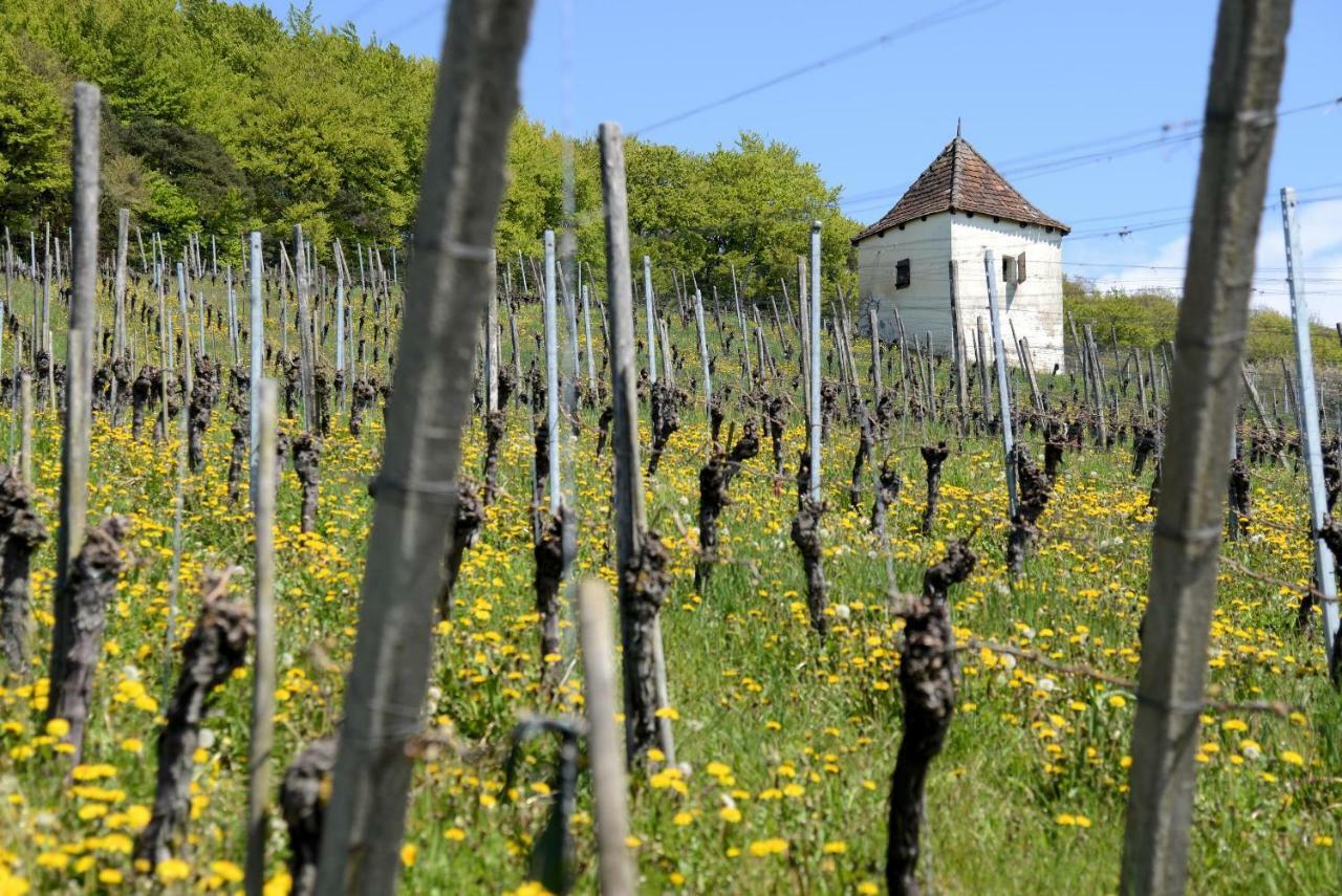 Am Paradies Bed & Breakfast Mullheim  Exterior photo